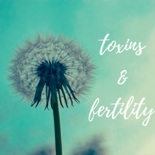 toxins and fertility